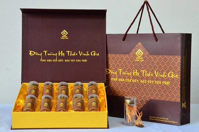 Mẫu hộp đông trùng hạ thảo hot nhất 2025