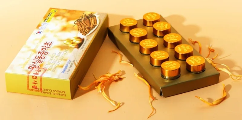 Hộp đông trùng hạ thảo Hàn Quốc đẹp