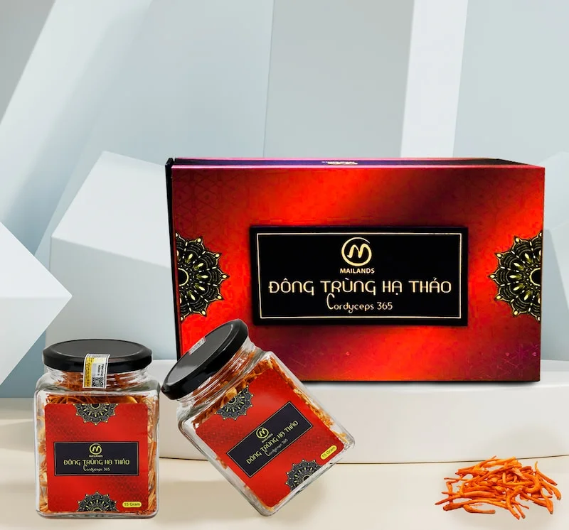 Mẫu hộp đông trùng hạ thảo thu hút khách hàng 