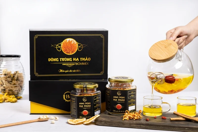 Mẫu hộp đông trùng hạ thảo quà tặng sự kiện