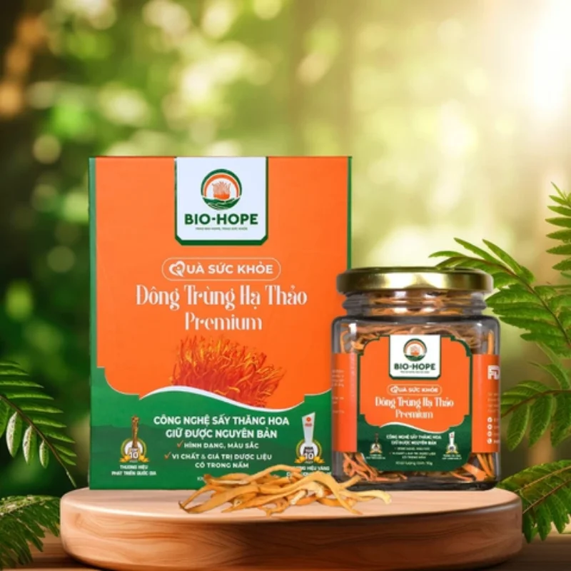 Mẫu hộp đông trùng hạ thảo nổi bật