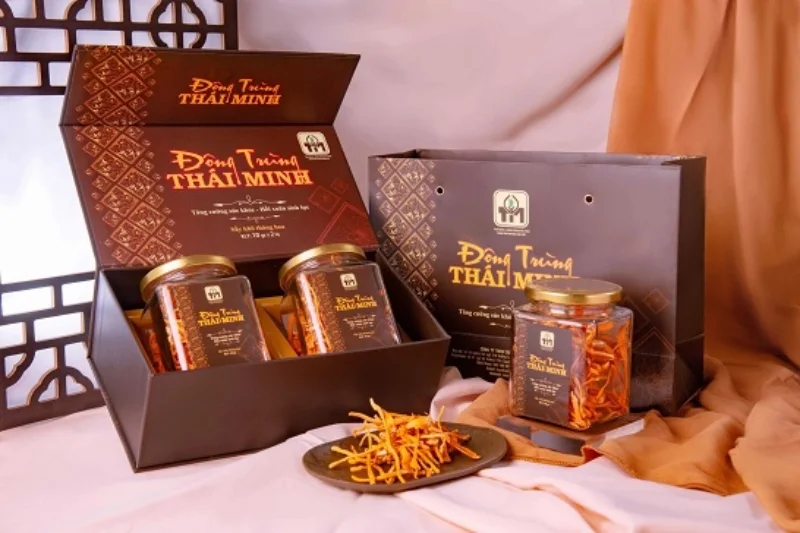 Mẫu hộp đông trùng hạ thảo quà biếu khách hàng