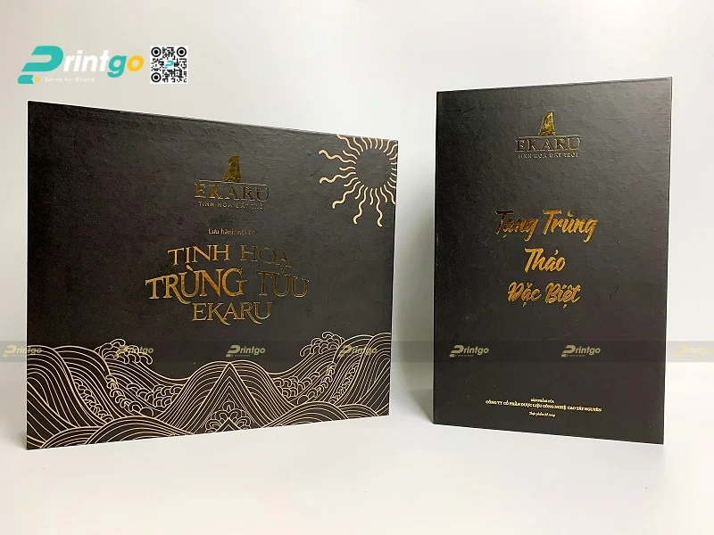 Mẫu hộp đông trùng hạ thảo thiết kế đẹp mắt 