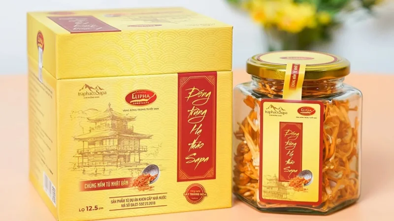 Mẫu hộp đông trùng hạ thảo thanh lịch