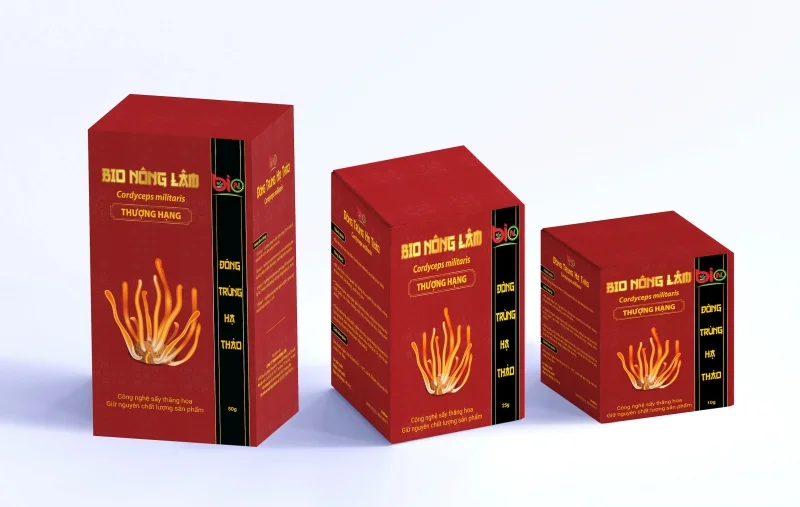Công nghệ in hộp đông trùng hạ thảo 