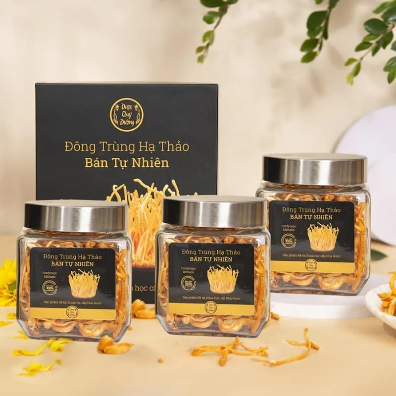 Mẫu hộp đông trùng hạ thảo tri ân khách hàng