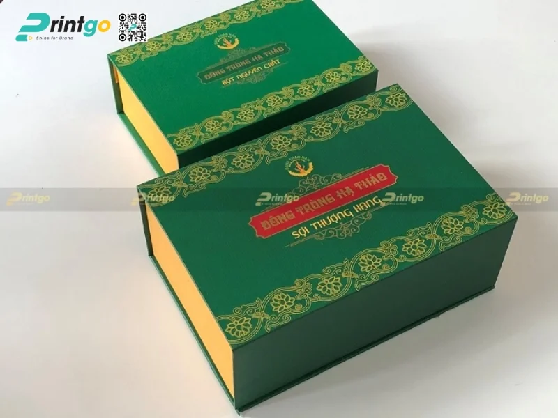 Mẫu hộp đông trùng hạ thảo chất lượng 