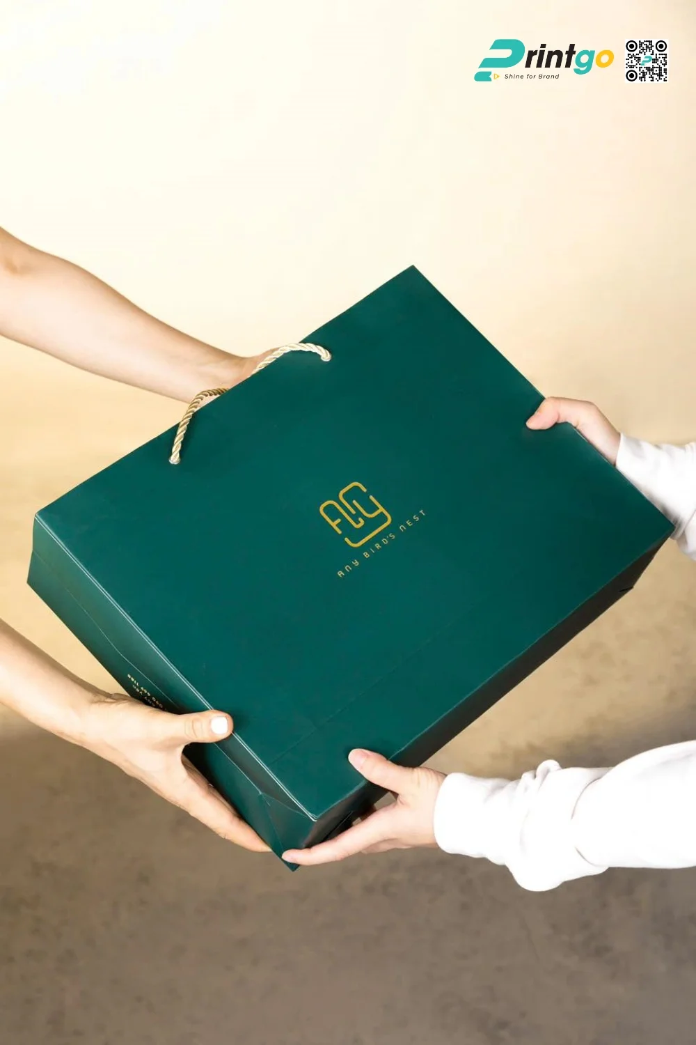 Túi giấy trong bộ hộp đựng yến sào thương hiệu ANY Yến