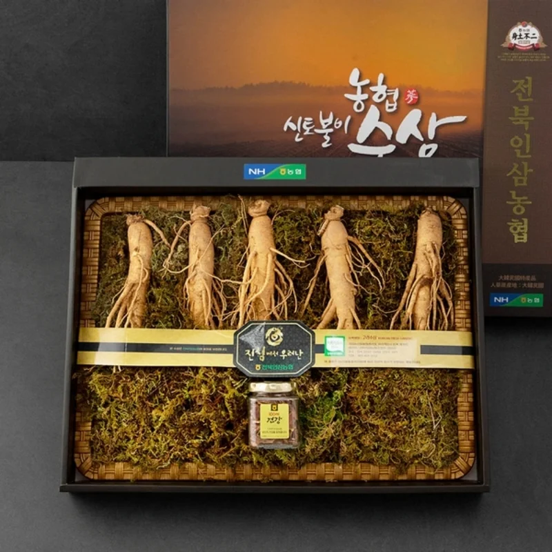 Mẫu hộp đựng sâm tươi bảo vệ sản phẩm tối ưu Mẫu hộp đựng sâm tươi bảo vệ sản phẩm tối ưu