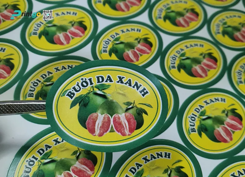 Tệp tem bưởi chất lượng