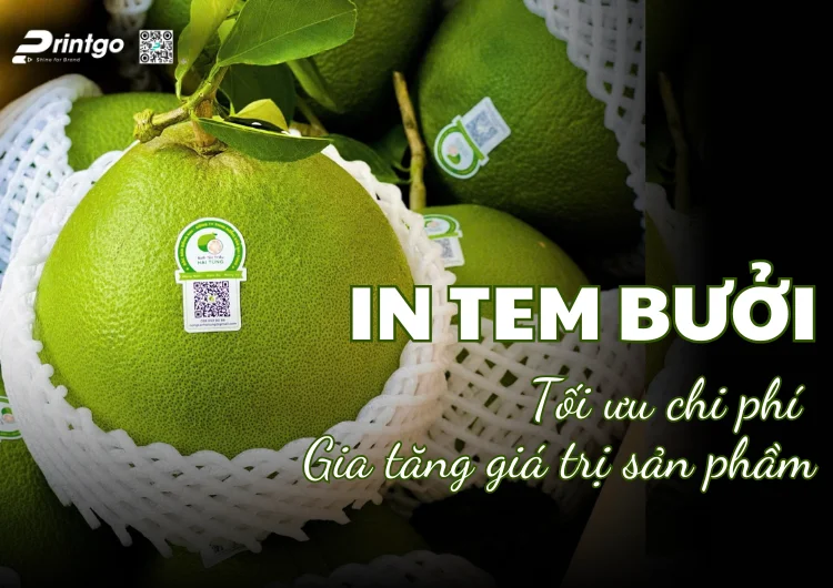 In tem bưởi theo yêu cầu – Tối ưu chi phí, gia tăng giá trị sản phẩm