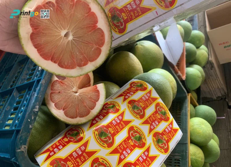Tem nhãn bưởi quy cách đặc biệt