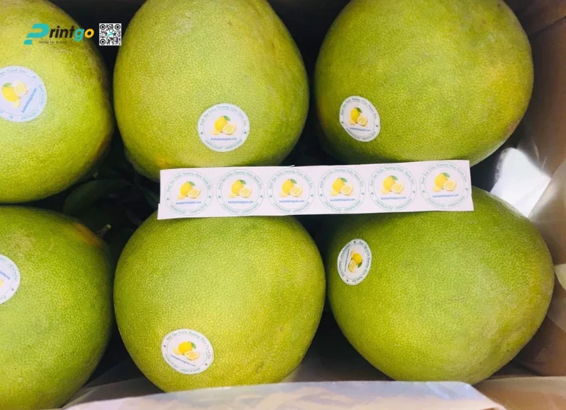 Gia công sau in tem bưởi
