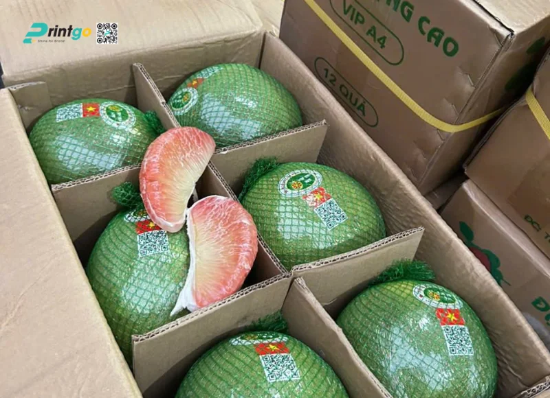Tem nhãn bưởi kết hợp QR Code