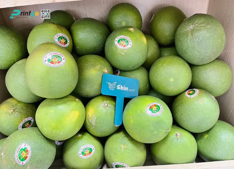 Tem nhãn bưởi in logo thương hiệu