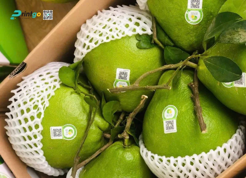 Tiêu chuẩn đối với tem bưởi xuất khẩu