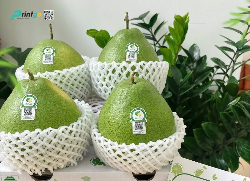 In tem nhãn bưởi QR Code xuất khẩu
