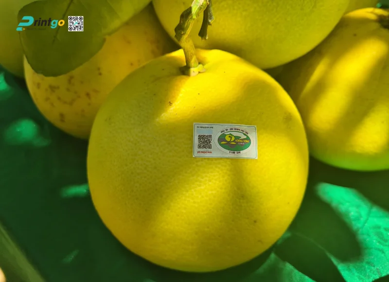 In tem bưởi QR Code xuất khẩu
