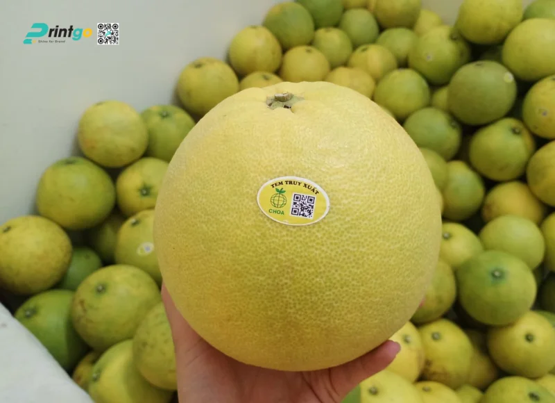 Những lưu ý khi thiết kế & in tem bưởi