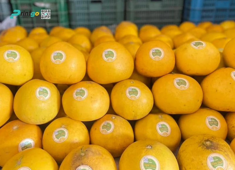 In tem bưởi cùng thiết kế logo thương hiệu