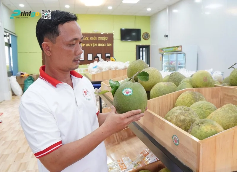 In tem bưởi độc quyền thiết kế thương hiệu