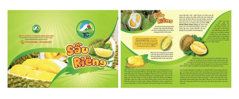 Mẫu tem sầu riêng đầy đủ thông tin tiện dụng 