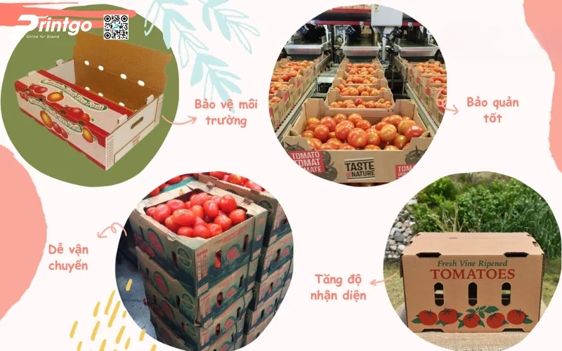 Lợi ích đối với doanh nghiệp khi làm thùng carton xuất khẩu chất lượng Lợi ích đối với doanh nghiệp khi làm thùng carton xuất khẩu chất lượng