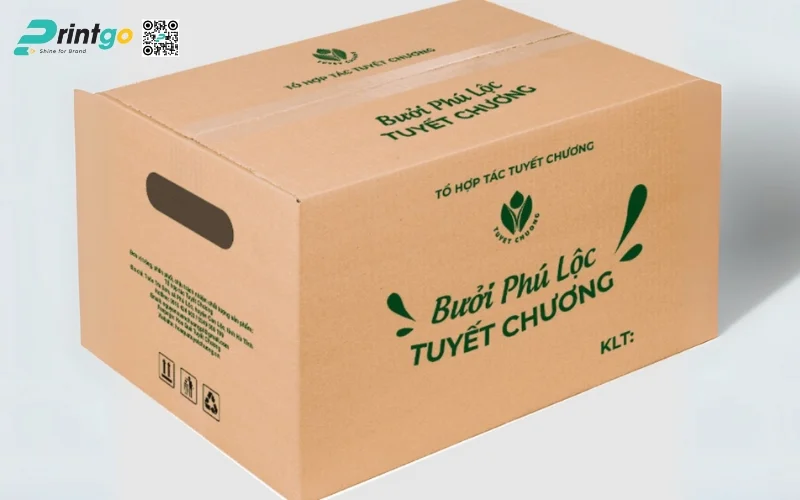 Mẫu bao bì xuất khẩu trái cây bưởi Mẫu bao bì xuất khẩu trái cây bưởi