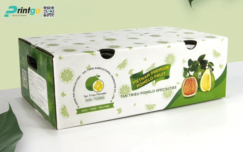 Mẫu bao bì xuất khẩu trái cây bưởi Mẫu bao bì xuất khẩu trái cây bưởi