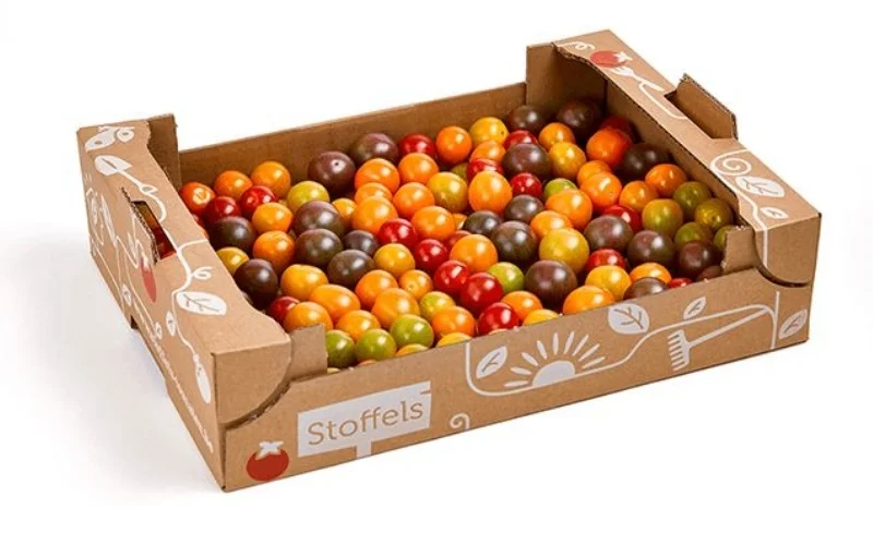 Khám phá các mẫu thùng carton xuất khẩu hàng hóa nông sản nổi bật Khám phá các mẫu thùng carton xuất khẩu hàng hóa nông sản nổi bật
