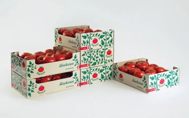 Khám phá các mẫu thùng carton xuất khẩu hàng hóa nông sản nổi bật Khám phá các mẫu thùng carton xuất khẩu hàng hóa nông sản nổi bật