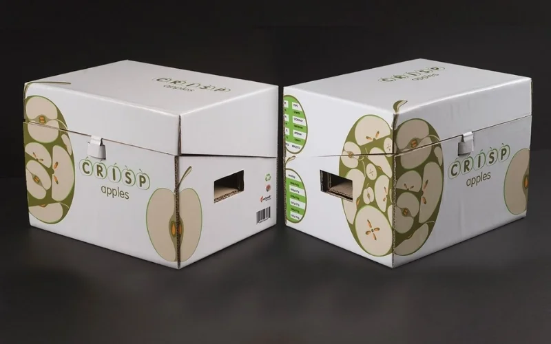 Khám phá các mẫu thùng carton xuất khẩu hàng hóa nông sản nổi bật Khám phá các mẫu thùng carton xuất khẩu hàng hóa nông sản nổi bật