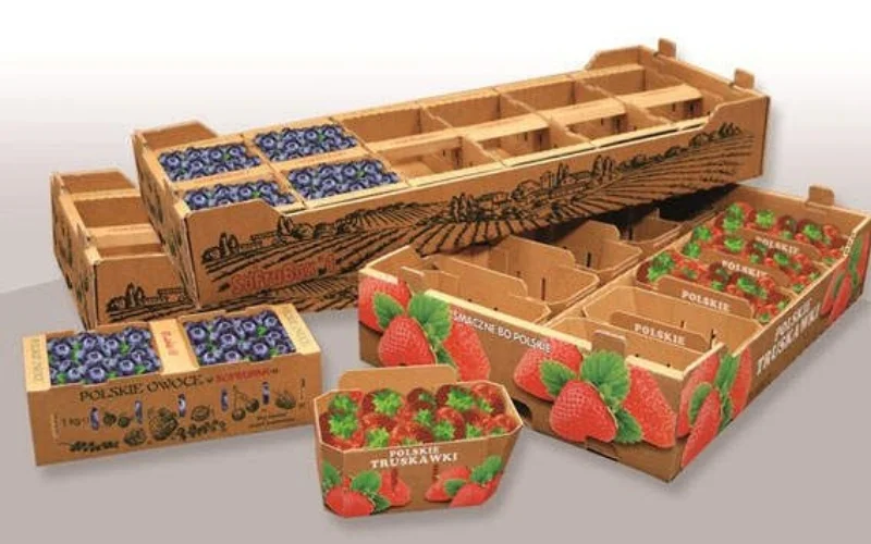 Khám phá các mẫu thùng carton xuất khẩu hàng hóa nông sản nổi bật Khám phá các mẫu thùng carton xuất khẩu hàng hóa nông sản nổi bật