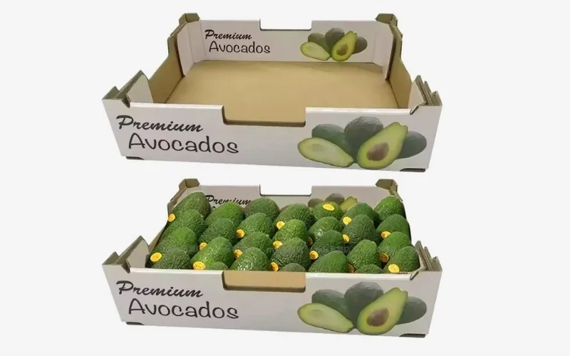 Khám phá các mẫu thùng carton xuất khẩu hàng hóa nông sản nổi bật Khám phá các mẫu thùng carton xuất khẩu hàng hóa nông sản nổi bật