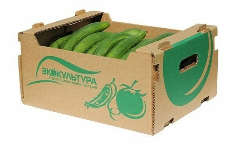 Khám phá các mẫu thùng carton xuất khẩu hàng hóa nông sản nổi bật Khám phá các mẫu thùng carton xuất khẩu hàng hóa nông sản nổi bật