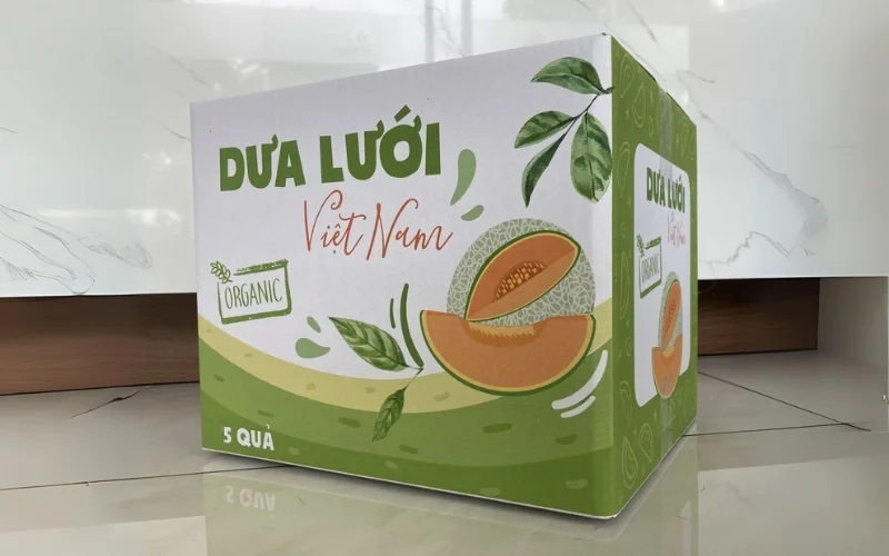 Khám phá các mẫu thùng carton xuất khẩu hàng hóa nông sản nổi bật Khám phá các mẫu thùng carton xuất khẩu hàng hóa nông sản nổi bật