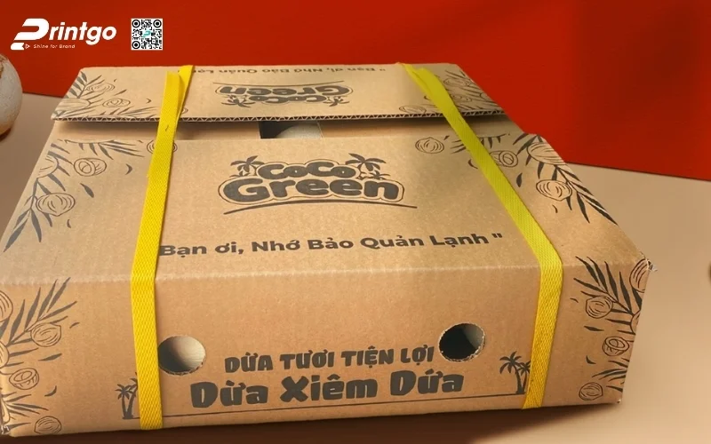 Mẫu thùng carton đựng dừa xiêm xuất khẩu đạt chuẩn
