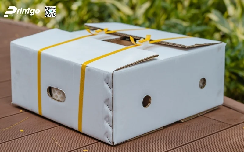 Mẫu thùng carton đựng dừa xiêm xuất khẩu đạt chuẩn