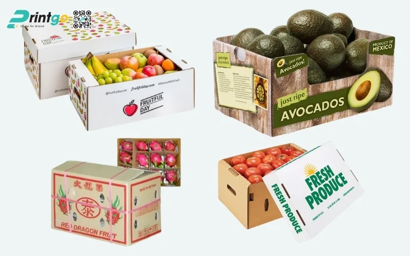 Mẫu thùng carton đóng hàng xuất khẩu hoa quả Mẫu thùng carton đóng hàng xuất khẩu hoa quả