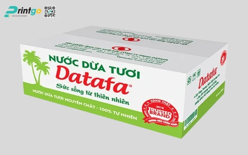 Mẫu thùng carton đựng dừa xiêm xuất khẩu đạt chuẩn 2026