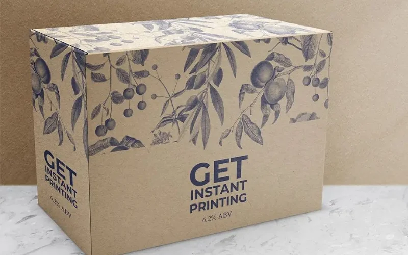 Bao bì đựng nông sản dạng giấy kraft nhiều lớp