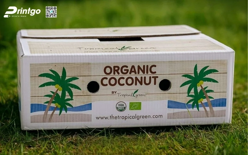 Mẫu thùng carton đóng hàng xuất khẩu nông sản chế biến Mẫu thùng carton đóng hàng xuất khẩu nông sản chế biến