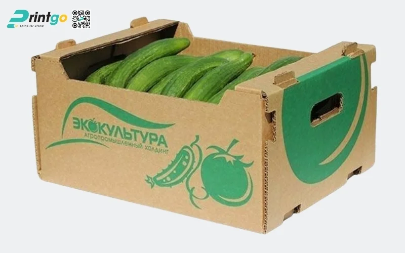 Mẫu thùng carton đóng hàng xuất khẩu rau củ Mẫu thùng carton đóng hàng xuất khẩu rau củ