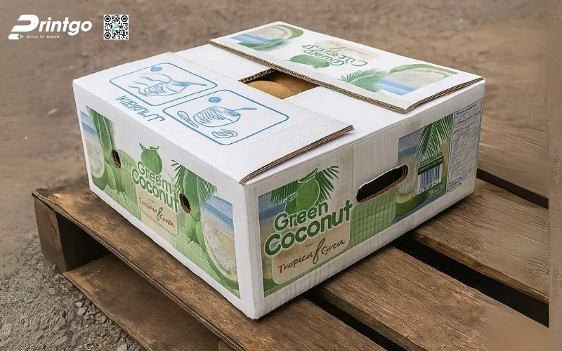 Mẫu thùng carton đựng dừa xiêm xuất khẩu đạt chuẩn 2026