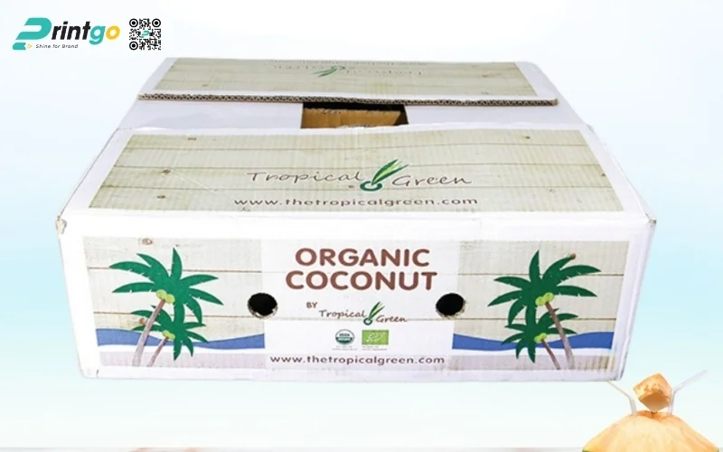 Mẫu thùng carton đựng dừa xiêm xuất khẩu đạt chuẩn 2026