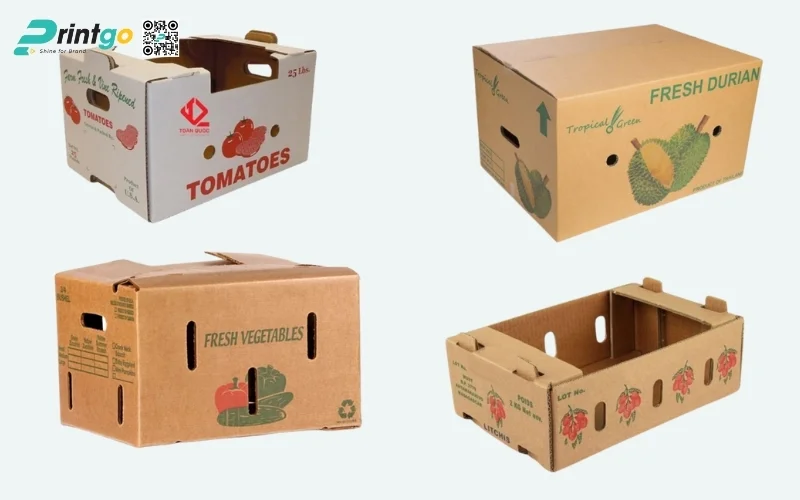 Mẫu thùng carton đóng hàng xuất khẩu hoa quả Mẫu thùng carton đóng hàng xuất khẩu hoa quả
