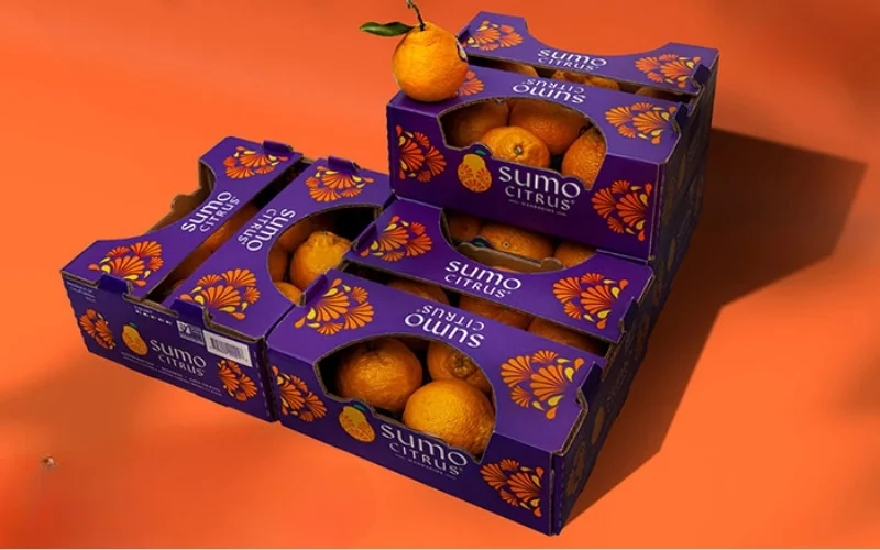 Khám phá các mẫu thùng carton xuất khẩu hàng hóa nông sản nổi bật Khám phá các mẫu thùng carton xuất khẩu hàng hóa nông sản nổi bật