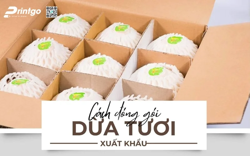 Cách đóng gói thùng dừa tươi xuất khẩu đạt chuẩn
