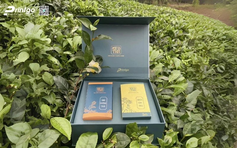 Một số quy định của nhà nước về bao bì trà xanh xuất khẩu Một số quy định của nhà nước về bao bì trà xanh xuất khẩu