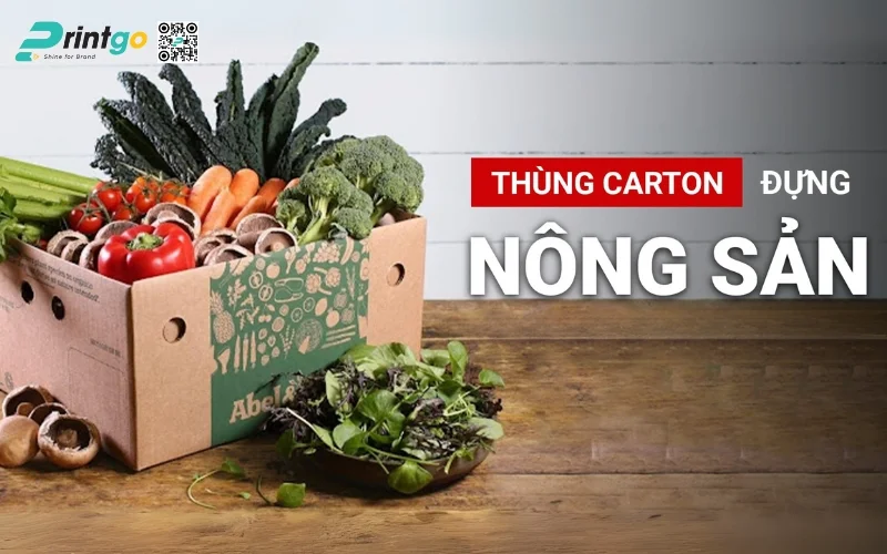 Quy trình làm thùng carton đóng hàng xuất khẩu chất lượng cho doanh nghiệp Quy trình làm thùng carton đóng hàng xuất khẩu chất lượng cho doanh nghiệp